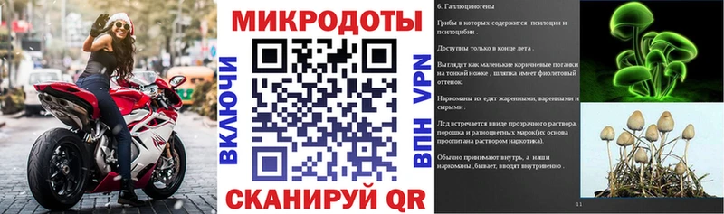 Псилоцибиновые грибы мухоморы  Купить где  Нижнеудинск 